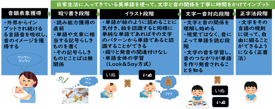 図1.文字の獲得段階(今井・針生(2014),筆者作図)